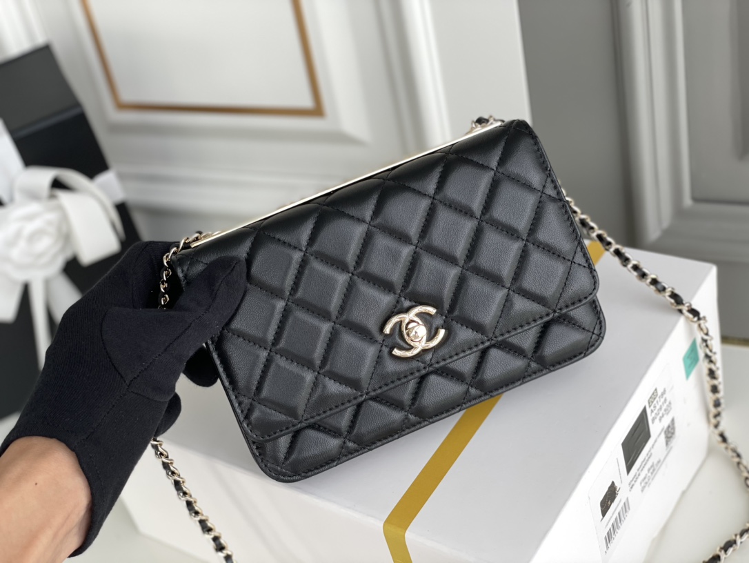 Chanel WOC Bags